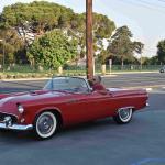 DSC_0032_01 (October 03, 2020)